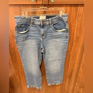 Lane Bryant Cropped Jeans, Size 14